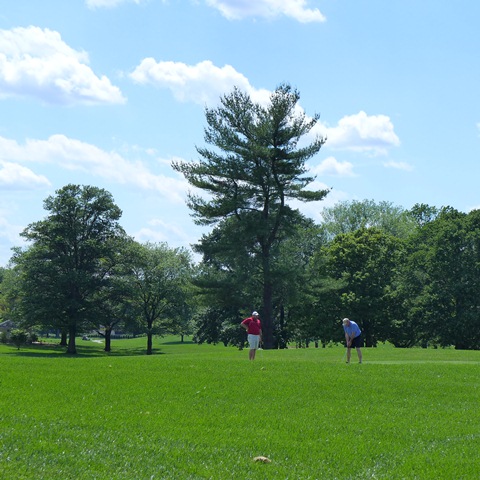 2016 Spring Golf